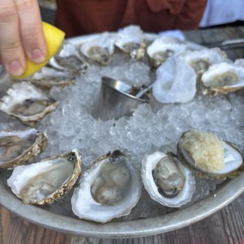 Jeffrey's Grocery - Oysters - Seafood Near Me - New York, New York