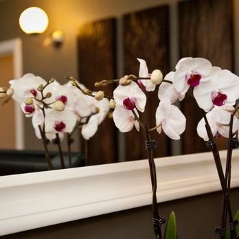 East Windsor Massage Therapy Clinic - Massage Therapy Near Me - Windsor, Ontario East Windsor Massage Therapy Clinic - Massage Therapy Near Me - Windsor, Ontario