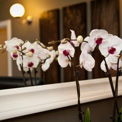 East Windsor Massage Therapy Clinic