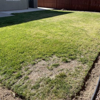 ShrubGator - Before - Irrigation Near Me - Menifee, California ShrubGator - Before - Irrigation Near Me - Menifee, California
