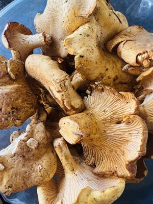 PCC Community Markets - West Seattle Co-op by null