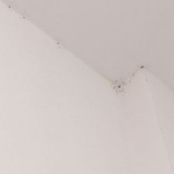 Hotel Ibis - Uklid neni dokonaly.