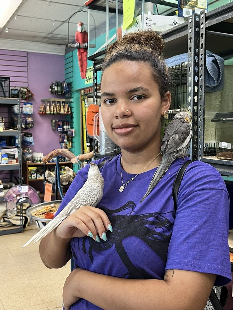 Animal Atlanta - reptile breeding in Woodstock, GA