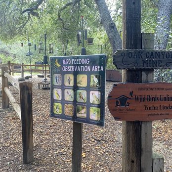 Oak Canyon Nature Center - Bird feeding area. Also, the squirrels love it - Parks Near Me - Anaheim, California