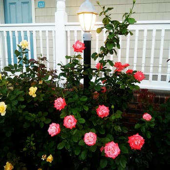 Waterside Motor Inn - Hotels Near Me - Chincoteague Island, Virginia Waterside Motor Inn - Hotels Near Me - Chincoteague Island, Virginia