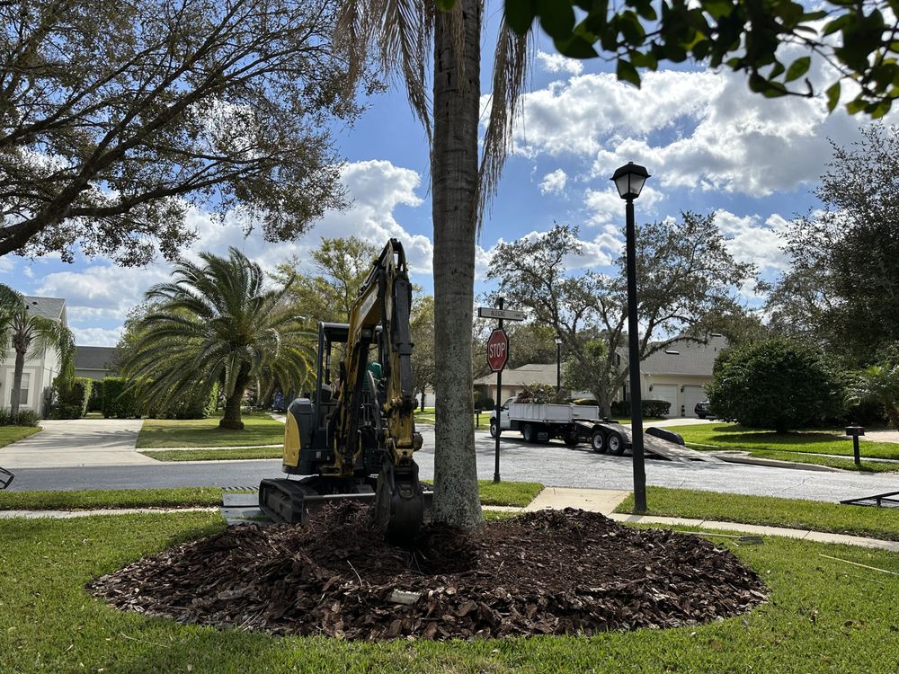 Groskey’s Tree Service - tree service in Orlando, FL