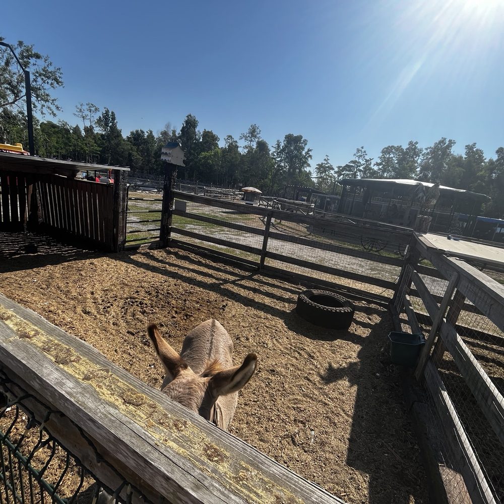 Good Mood Ranch - No hay or water - Ranches Near Me - Naples, Florida Good Mood Ranch - No hay or water - Ranches Near Me - Naples, Florida