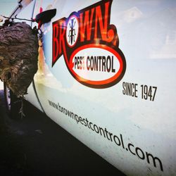 Brown Pest Control