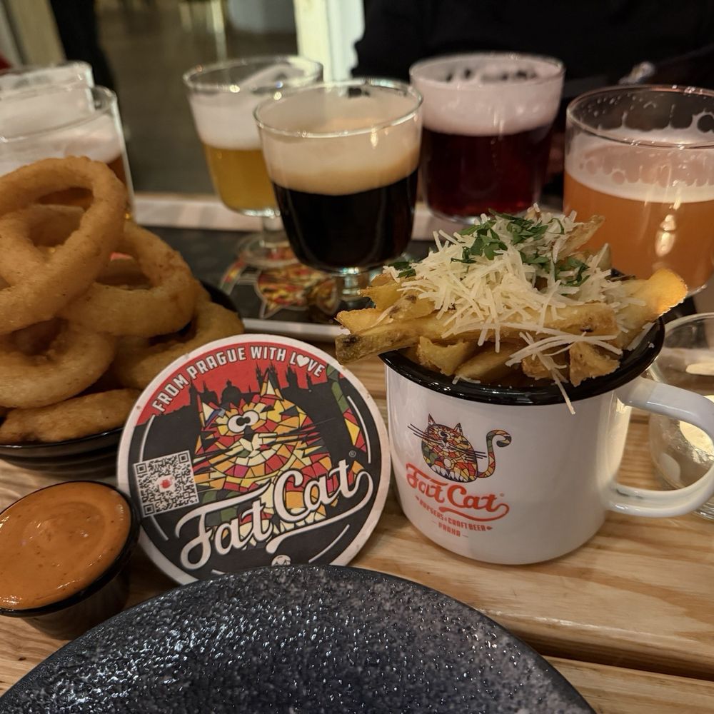 Fries and onion rings with a flight