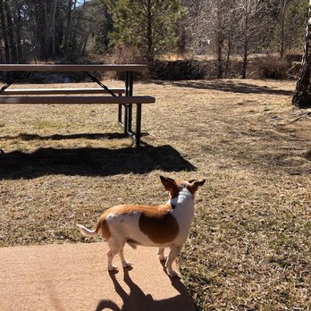 Bear Creek Two - Puppy friendly! - Vacation Rentals Near Me - Estes Park, Colorado
