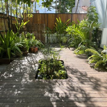 Casa Botanica Hotel - Yoga space - Ayurveda Near Me - San Juan, Puerto Rico Casa Botanica Hotel - Yoga space - Ayurveda Near Me - San Juan, Puerto Rico