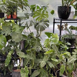 Garden Heights Nursery
