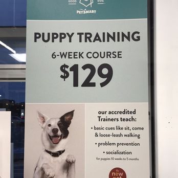 PetSmart Grooming - Signage - Pet Training Near Me - Scarborough, Ontario
