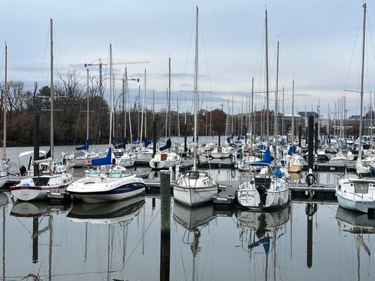 Washington Sailing Marina by null