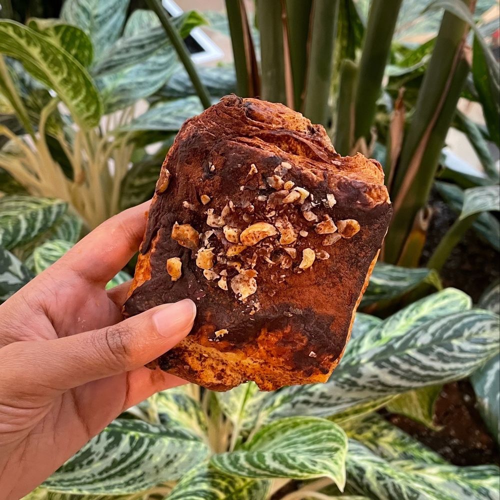 Chocolate Hazelnut Croissant Chocolate Hazelnut Croissant