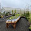 Wavra Farms And Nursery gift card