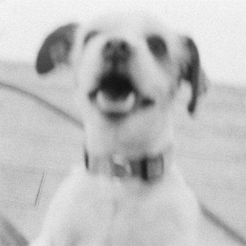 35m pro photo lab - Blurry pic but that's the magic behind it. Art or junk? Its in the eye of the beholder. - Photography Stores & Services Near Me - Sherman Oaks, California