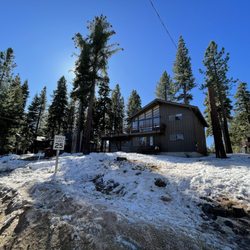 Jeremiah's Tree Service - Beautiful sugar pine preserved.  Jerimiah's Tree service did everything beautifully.  A starting place for improvements coming soon.