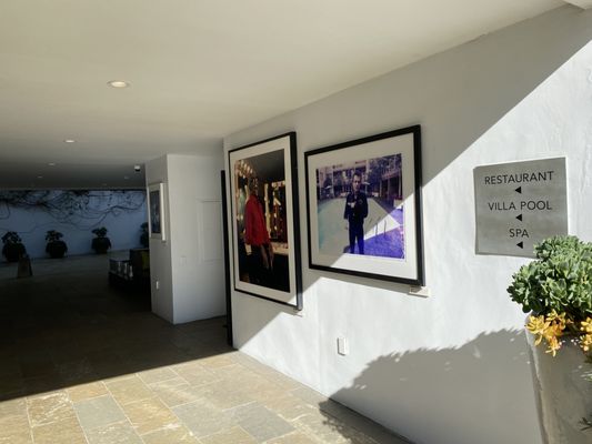 Sunset Marquis by null