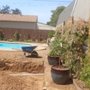 Photo of Dew point irrigation and garden solutions