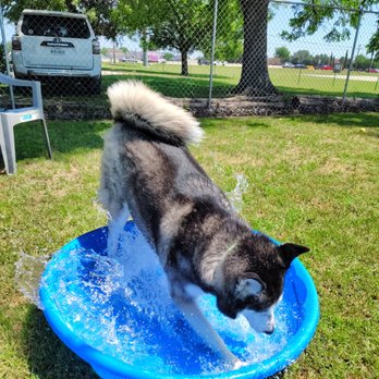 Twin Lakes Pet Resort & Spa - Pet Groomers Near Me - Aubrey, Texas Twin Lakes Pet Resort & Spa - Pet Groomers Near Me - Aubrey, Texas