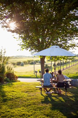 Suhru & Lieb Vineyards by null