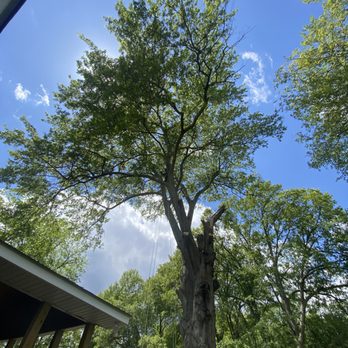Adams Tree Service - Tree Services Near Me