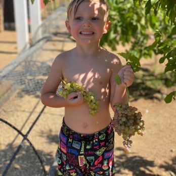 Garden Works For Kids - Community Service/Non-Profit Near Me - Yucaipa, California Garden Works For Kids - Community Service/Non-Profit Near Me - Yucaipa, California
