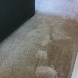 The doggie vomit all gone, It's amazing