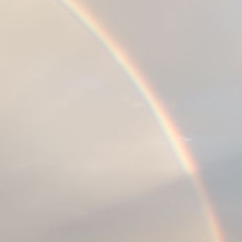 Grice Chiropractic - Trimont's Rainbow - Chiropractors Near Me - Pittsburgh, Pennsylvania Grice Chiropractic - Trimont's Rainbow - Chiropractors Near Me - Pittsburgh, Pennsylvania
