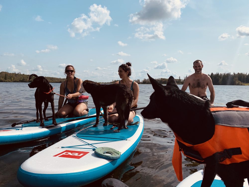 THE BOARD RENTALS Updated July 2024 Grimshaw, Alberta, Canada