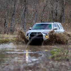 DirtFish
