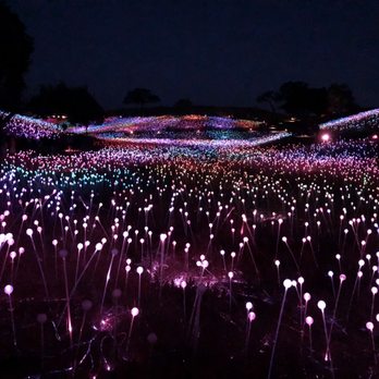 Sensorio - Bruce Munro: Field of Light at Sensorio- full dark skies after 8pm (summertime) - Art Galleries Near Me - Paso Robles, California
