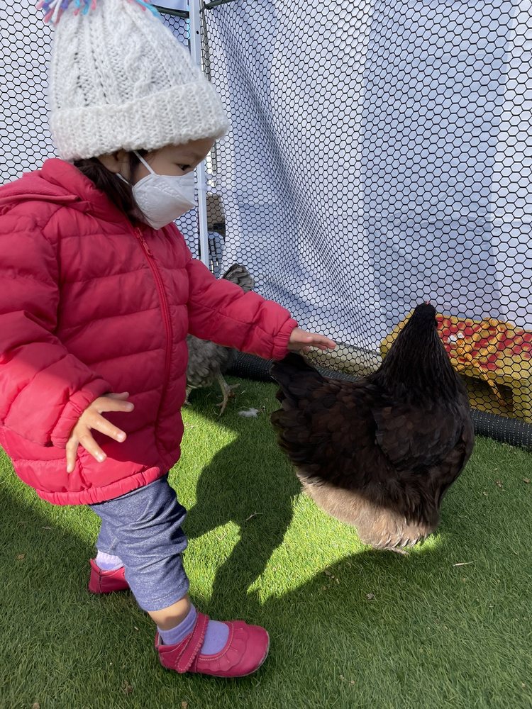 VILLA FARM MOBILE PETTING ZOO Updated September 2024 21 Photos