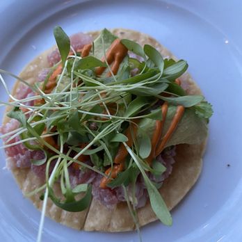 Señor Bear - Tostada - Latin American Near Me - Denver, Colorado