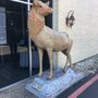 Elks Lodge No 124