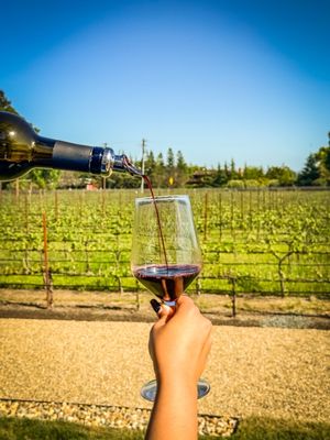 Whitehall Lane Winery by null