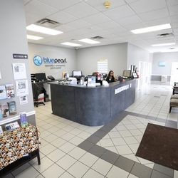 BluePearl Pet Hospital