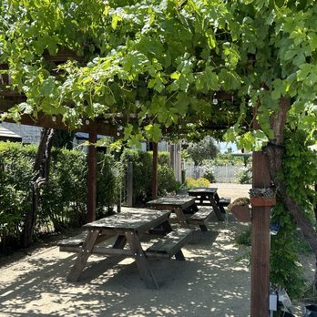 Zinc House Farm - Outdoor wine tasting spot - Attraction Farms Near Me - Escalon, California