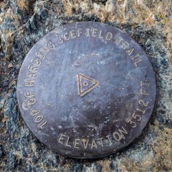 Exit Glacier and Harding Icefield Trail