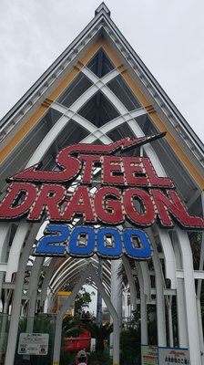 Steel Dragon 2000 by null