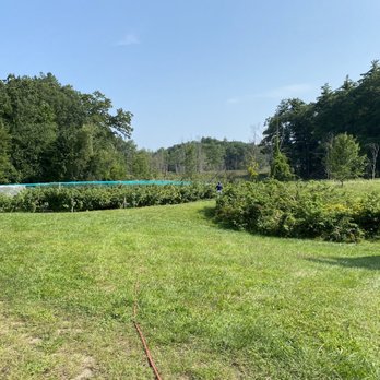 Old Frog Pond Farm - a pool in the middle of a field - Farmers Market Near Me - Harvard, Massachusetts