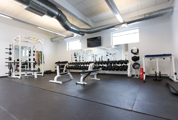 THE TOP STRENGTH PROJECT - Updated May 2026 - 26 Photos - 402 Walcott ...