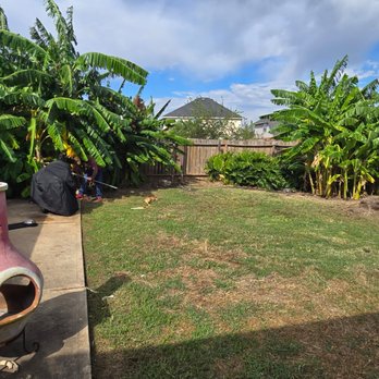 FNE Landscaping & Services - Recurring lawn maintenance - Landscaping Near Me - Houston, Texas FNE Landscaping & Services - Recurring lawn maintenance - Landscaping Near Me - Houston, Texas