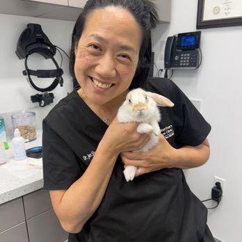 Veterinary Eye Clinic - Veterinarians Near Me - Alhambra, California Veterinary Eye Clinic - Veterinarians Near Me - Alhambra, California