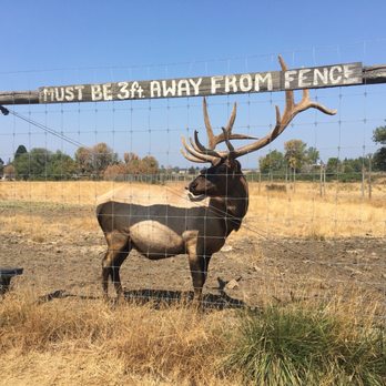 Rosse Posse Acres - Souvenir Shops Near Me - Molalla, Oregon
