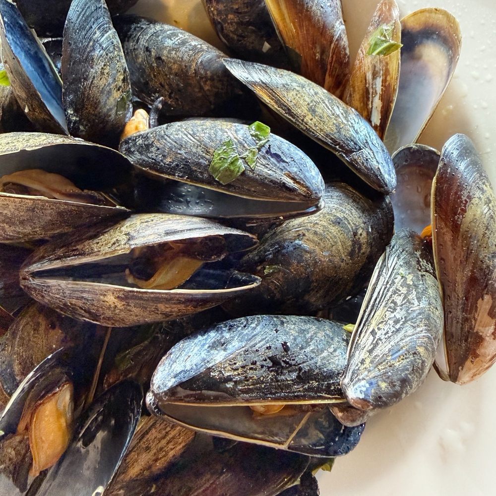 Boston Sail Loft - Steamed Mussels - Bars Near Me - Boston, Massachusetts Boston Sail Loft - Steamed Mussels - Bars Near Me - Boston, Massachusetts