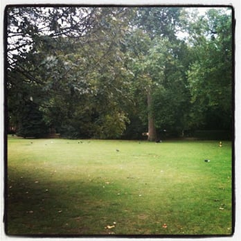 Lincoln's Inn - Parks Near Me - London, XGL Lincoln's Inn - Parks Near Me - London, XGL