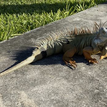 Tropical Park - Parks Near Me - Miami, Florida
