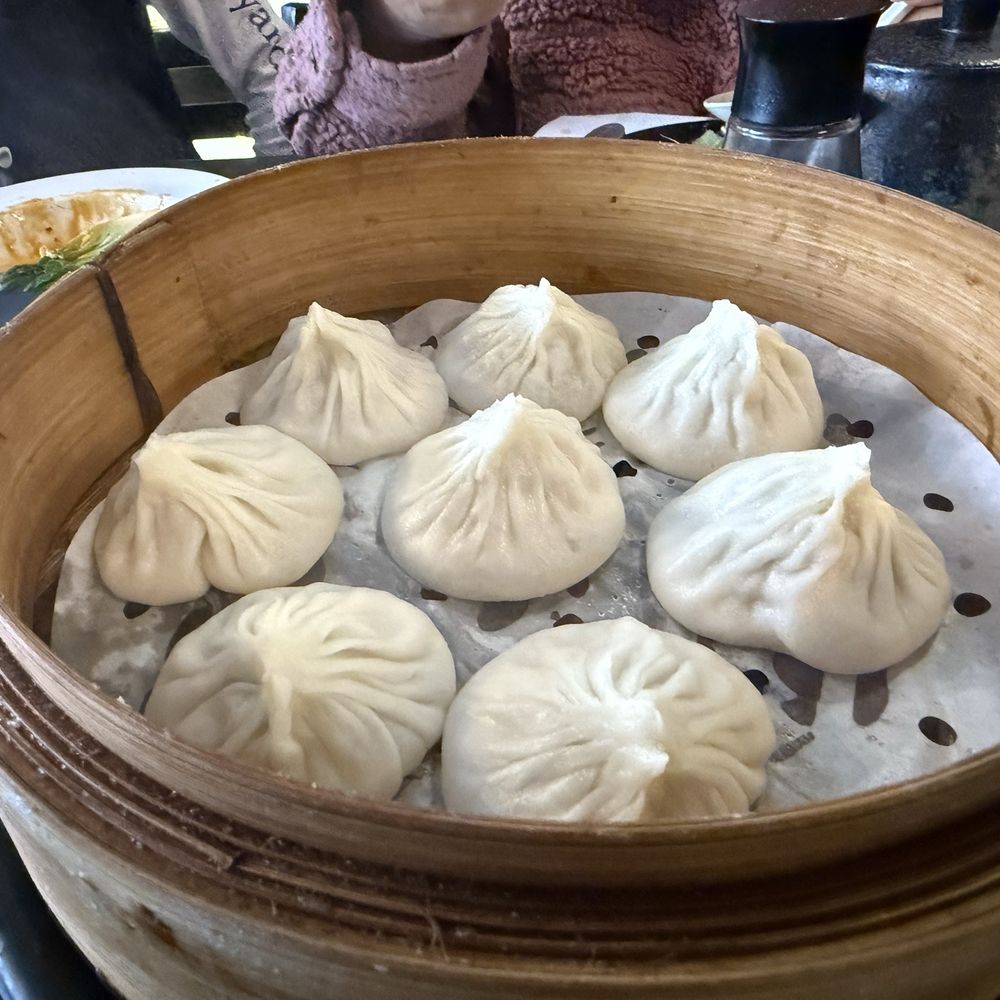 Dumpling Zone - Dim Sum Near Me - San Francisco, California Dumpling Zone - Dim Sum Near Me - San Francisco, California